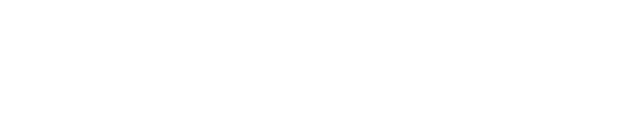 logo light